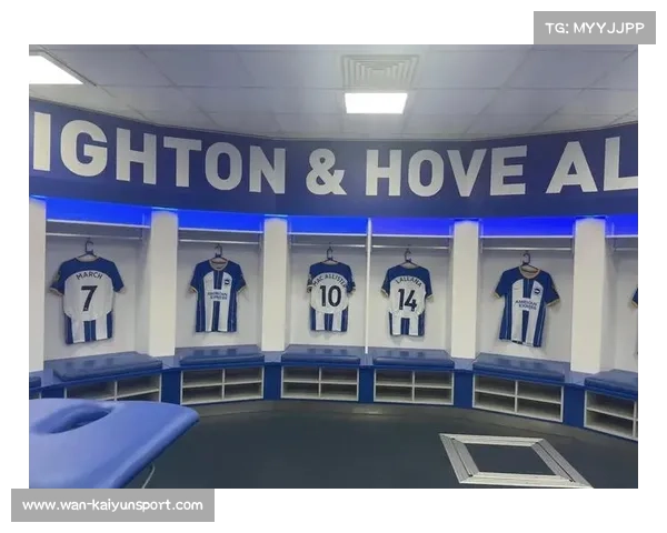 从保级到欧战:布莱顿小球会运营模式成功探秘